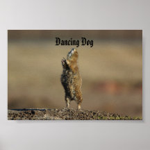 chien de danse posters