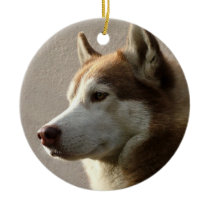 Chien de Malamute d'Alaska ornements
