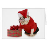chien pere noel