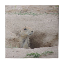 Chien de prairie carreau en céramique
