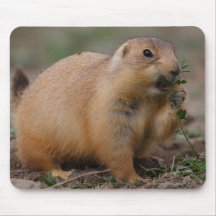Chien de prairie tapis de souris