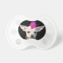 Chien de punk de chiwawa tétines