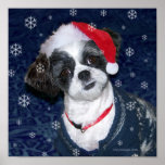 Chien de Shih Tzu de Noël Poster