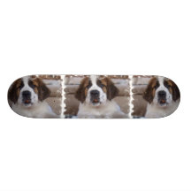 Chien de St Bernard sur la planche à roulettes