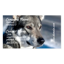 Chien de traîneau dans des cartes de visite de nei cartes de visite personnelles