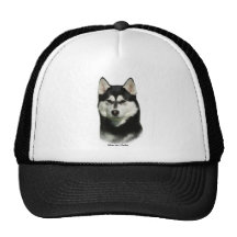 Chien de traîneau sibérien casquettes