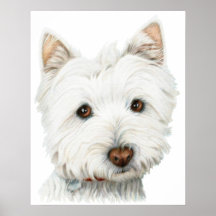 Chien de Westie, en pastel sur la copie d'effet de Posters