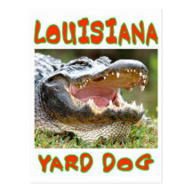 CHIEN DE YARD DE LOUSIANA CARTE POSTALE