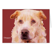 Chien du couperet FFF Cartes