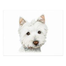 Chien en pastel de Westie Cartes Postales