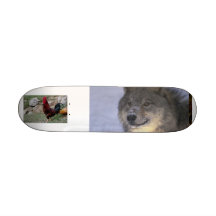 Chien et coq planches à roulettes customisées