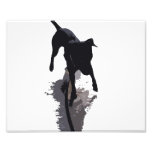 chien et ombre posterized photographies
