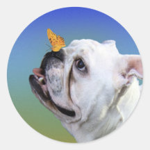 Chien et papillon autocollants