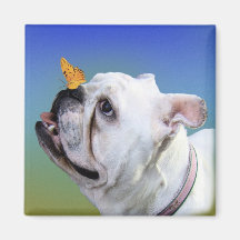 Chien et papillon magnets pour réfrigérateur