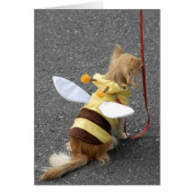 Chien japonais mignon habillé comme abeille sur un