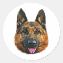 Chien K-9 alsacien de berger allemand Adhésif
