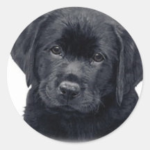 chien noir autocollants
