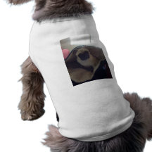 Chien sur un chien manteaux pour animaux domestiques