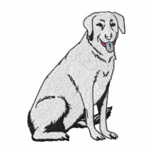 CHIEN POLO