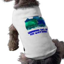 Chienchien de Surfin Vêtements Pour Animaux Domestiques