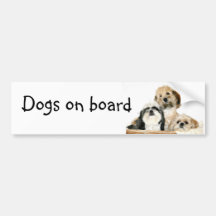 Chiens à bord adhésif pour voiture