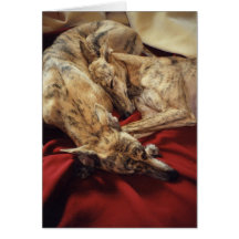 Chiens de sommeil carte de vœux