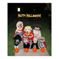 Chiens et chats drôles Halloween posters