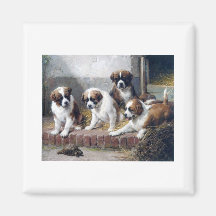 Chiens mignons de peinture de tortue de chiots de  magnets