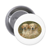 Chiens Pin's Avec Agrafe