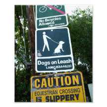 Chiens sur la laisse impressions photo