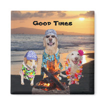 Chiens sur la plage au coucher du soleil magnets