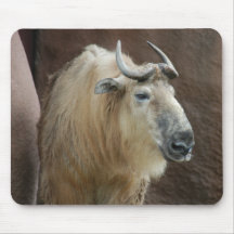 chinese-takin-5 tapis de souris