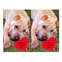 Chinois personnalisable SharPei de heureuse Sainte Carte Postale