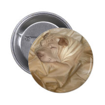 Chinois Shar Pei camouflé dans les rides Pin's