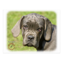 Chiot 8R062D-25 de Corso de canne Carte Postale