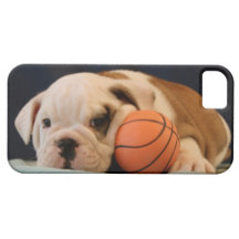 Chiot anglais de basket-ball de bouledogue coques iPhone 5