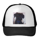 Chiot Casquettes De Camionneur