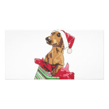 CHIOT CLAUS CARTES AVEC PHOTO