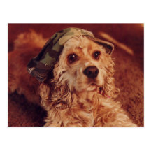 Chiot dans un casquette de camouflage cartes postales