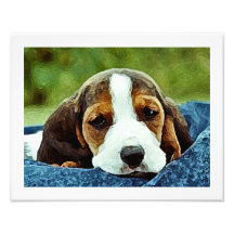 Chiot de basset se reposant - Brown noir et blanc Impressions Photographiques