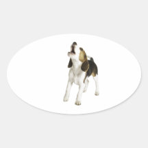 Chiot de beagle autocollants
