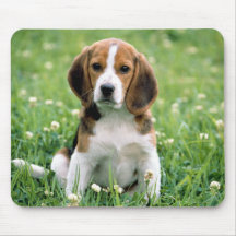 Chiot de beagle tapis de souris