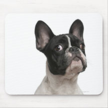 Chiot de bouledogue français (5 mois) tapis de souris