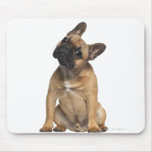 Chiot de bouledogue français (7 mois) tapis de souris