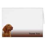 Chiot de Brown sur un gradient de Brown Carte De Vœux