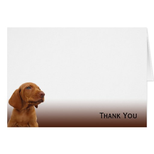 Chiot de Brown sur un gradient de Brown Carte De Vœux