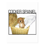 Chiot de cocker ! carte postale