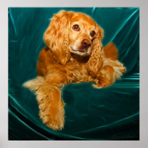 Chiot de cocker posters