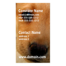 Chiot de labrador retriever carte de visite