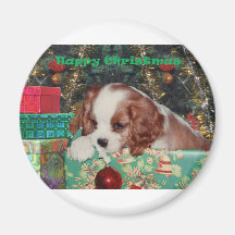 Chiot de Noël de Blenheim Aimant